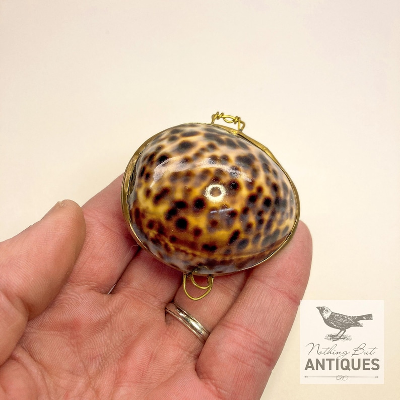 Vintage Sea Shell Coin Purses/Pill Boxes, Victorian Style With Brass Frames, Set of 3, ca. 1960s - 70s. Crafted from three different sea shells in three DIFFERENT SIZES, these LOVELY COIN PURSES or PILL BOXES would make lovely DECORATOR ITEMS in any bedroom or bathroom, especially for a BEACHFRONT PROPERTY. The large shell is 3-1/4 in. from front to back; the medium shell 2-1/4 in., and the small shell is 1-3/4 in. front to back. Price: $75 with FREE SHIPPING.