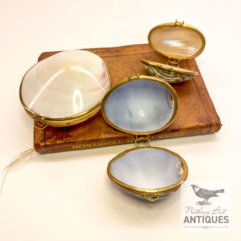 Vintage Sea Shell Coin Purses/Pill Boxes, Victorian Style With Brass Frames, Set of 3, ca. 1960s - 70s. Crafted from three different sea shells in three DIFFERENT SIZES, these LOVELY COIN PURSES or PILL BOXES would make lovely DECORATOR ITEMS in any bedroom or bathroom, especially for a BEACHFRONT PROPERTY. The large shell is 3-1/4 in. from front to back; the medium shell 2-1/4 in., and the small shell is 1-3/4 in. front to back. Price: $75 with FREE SHIPPING.