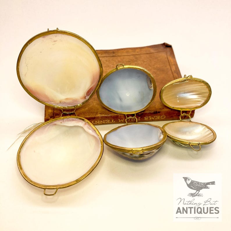 Vintage Sea Shell Coin Purses/Pill Boxes, Victorian Style With Brass Frames, Set of 3, ca. 1960s - 70s. Crafted from three different sea shells in three DIFFERENT SIZES, these LOVELY COIN PURSES or PILL BOXES would make lovely DECORATOR ITEMS in any bedroom or bathroom, especially for a BEACHFRONT PROPERTY. The large shell is 3-1/4 in. from front to back; the medium shell 2-1/4 in., and the small shell is 1-3/4 in. front to back. Price: $75 with FREE SHIPPING.