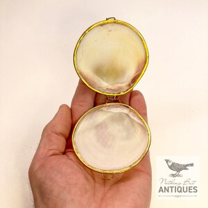 Vintage Sea Shell Coin Purses/Pill Boxes, Victorian Style With Brass Frames, Set of 3, ca. 1960s - 70s. Crafted from three different sea shells in three DIFFERENT SIZES, these LOVELY COIN PURSES or PILL BOXES would make lovely DECORATOR ITEMS in any bedroom or bathroom, especially for a BEACHFRONT PROPERTY. The large shell is 3-1/4 in. from front to back; the medium shell 2-1/4 in., and the small shell is 1-3/4 in. front to back. Price: $75 with FREE SHIPPING.