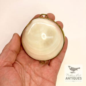 Vintage Sea Shell Coin Purses/Pill Boxes, Victorian Style With Brass Frames, Set of 3, ca. 1960s - 70s. Crafted from three different sea shells in three DIFFERENT SIZES, these LOVELY COIN PURSES or PILL BOXES would make lovely DECORATOR ITEMS in any bedroom or bathroom, especially for a BEACHFRONT PROPERTY. The large shell is 3-1/4 in. from front to back; the medium shell 2-1/4 in., and the small shell is 1-3/4 in. front to back. Price: $75 with FREE SHIPPING.
