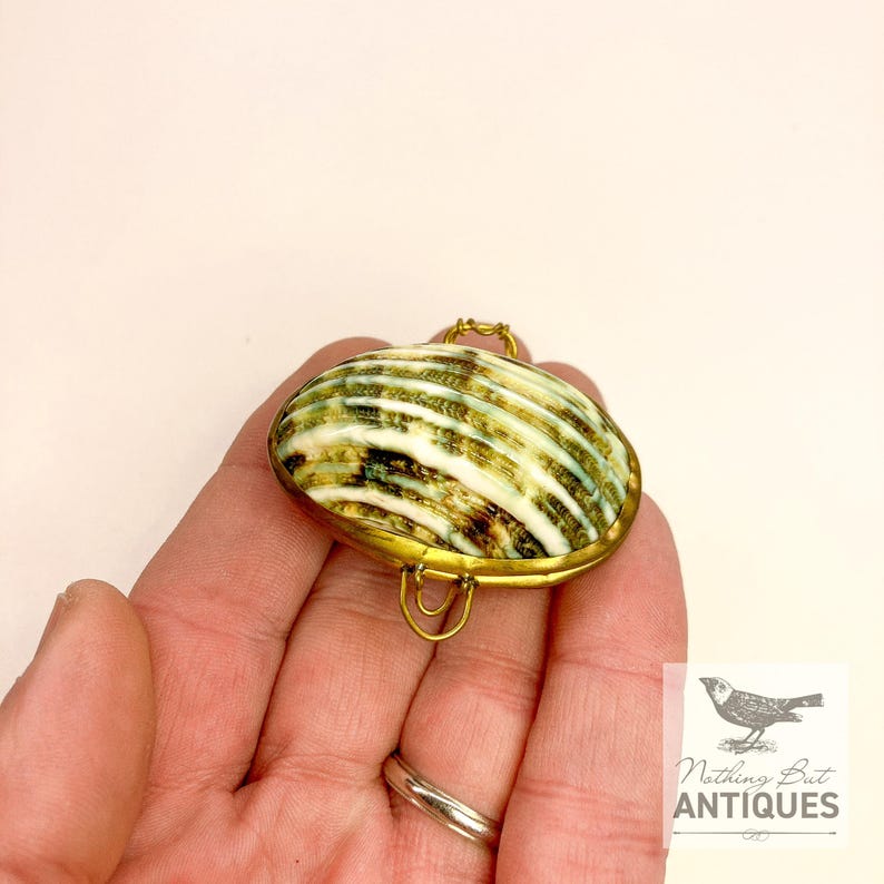 Vintage Sea Shell Coin Purses/Pill Boxes, Victorian Style With Brass Frames, Set of 3, ca. 1960s - 70s. Crafted from three different sea shells in three DIFFERENT SIZES, these LOVELY COIN PURSES or PILL BOXES would make lovely DECORATOR ITEMS in any bedroom or bathroom, especially for a BEACHFRONT PROPERTY. The large shell is 3-1/4 in. from front to back; the medium shell 2-1/4 in., and the small shell is 1-3/4 in. front to back. Price: $75 with FREE SHIPPING.