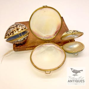 Vintage Sea Shell Coin Purses/Pill Boxes, Victorian Style With Brass Frames, Set of 3, ca. 1960s - 70s. Crafted from three different sea shells in three DIFFERENT SIZES, these LOVELY COIN PURSES or PILL BOXES would make lovely DECORATOR ITEMS in any bedroom or bathroom, especially for a BEACHFRONT PROPERTY. The large shell is 3-1/4 in. from front to back; the medium shell 2-1/4 in., and the small shell is 1-3/4 in. front to back. Price: $75 with FREE SHIPPING.