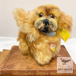 Vintage Steiff Pekingese Dog With Original Tag, Ribbon & Peky Name Tag, German, ca. 1960s