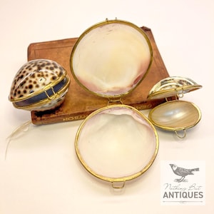 Vintage Sea Shell Coin Purses/Pill Boxes, Victorian Style With Brass Frames, Set of 3, ca. 1960s - 70s. Crafted from three different sea shells in three DIFFERENT SIZES, these LOVELY COIN PURSES or PILL BOXES would make lovely DECORATOR ITEMS in any bedroom or bathroom, especially for a BEACHFRONT PROPERTY. The large shell is 3-1/4 in. from front to back; the medium shell 2-1/4 in., and the small shell is 1-3/4 in. front to back. Price: $75 with FREE SHIPPING.