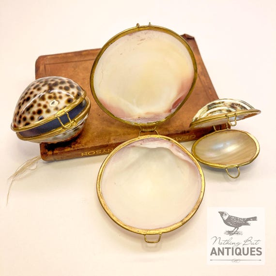 Vintage Sea Shell Coin Purses/Pill Boxes, Victorian Style With Brass Frames, Set of 3, ca. 1960s - 70s