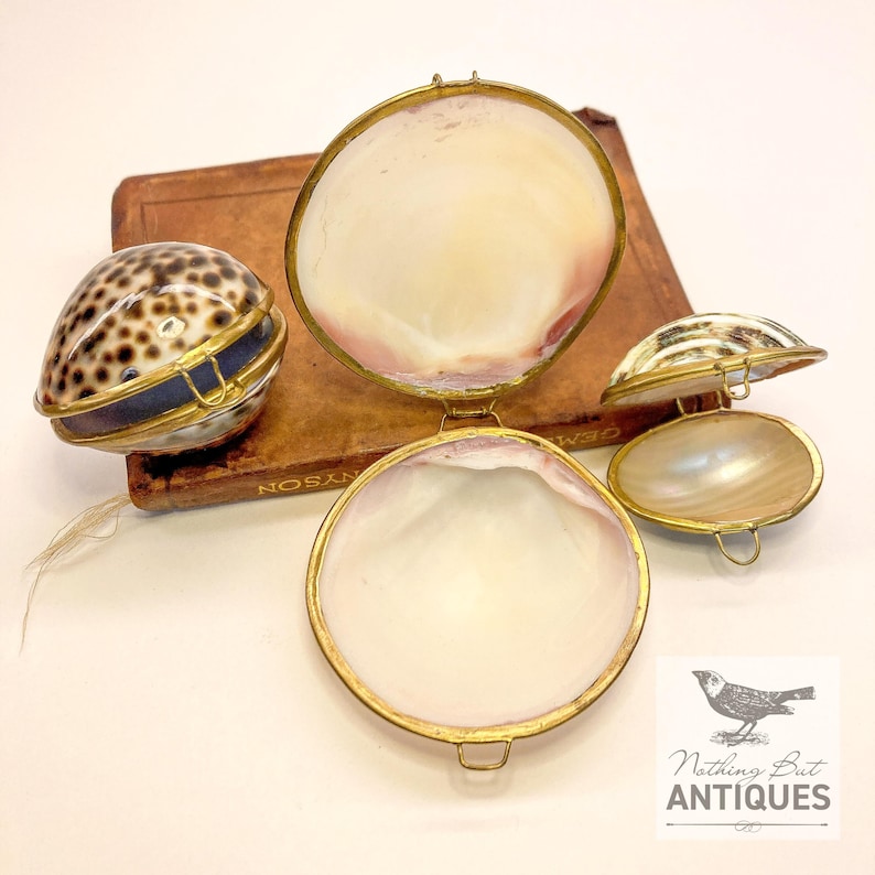 Vintage Sea Shell Coin Purses/Pill Boxes, Victorian Style With Brass Frames, Set of 3, ca. 1960s - 70s. Crafted from three different sea shells in three DIFFERENT SIZES, these LOVELY COIN PURSES or PILL BOXES would make lovely DECORATOR ITEMS in any bedroom or bathroom, especially for a BEACHFRONT PROPERTY. The large shell is 3-1/4 in. from front to back; the medium shell 2-1/4 in., and the small shell is 1-3/4 in. front to back. Price: $75 with FREE SHIPPING.