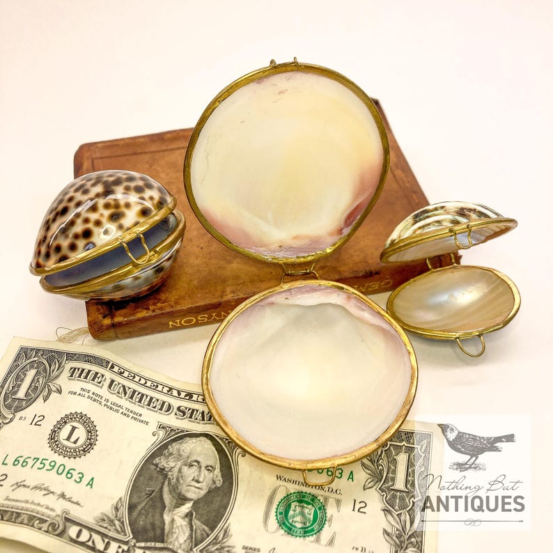 Vintage Sea Shell Coin Purses/Pill Boxes, Victorian Style With Brass Frames, Set of 3, ca. 1960s - 70s. Crafted from three different sea shells in three DIFFERENT SIZES, these LOVELY COIN PURSES or PILL BOXES would make lovely DECORATOR ITEMS in any bedroom or bathroom, especially for a BEACHFRONT PROPERTY. The large shell is 3-1/4 in. from front to back; the medium shell 2-1/4 in., and the small shell is 1-3/4 in. front to back. Price: $75 with FREE SHIPPING.