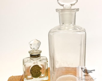 Frascos de perfume antigos da era eduardiana, Paul Rieger & Palmer's Gardenglo, conjunto de 2, ca. 1890 - 1910