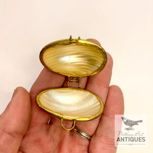Vintage Sea Shell Coin Purses/Pill Boxes, Victorian Style With Brass Frames, Set of 3, ca. 1960s - 70s. Crafted from three different sea shells in three DIFFERENT SIZES, these LOVELY COIN PURSES or PILL BOXES would make lovely DECORATOR ITEMS in any bedroom or bathroom, especially for a BEACHFRONT PROPERTY. The large shell is 3-1/4 in. from front to back; the medium shell 2-1/4 in., and the small shell is 1-3/4 in. front to back. Price: $75 with FREE SHIPPING.