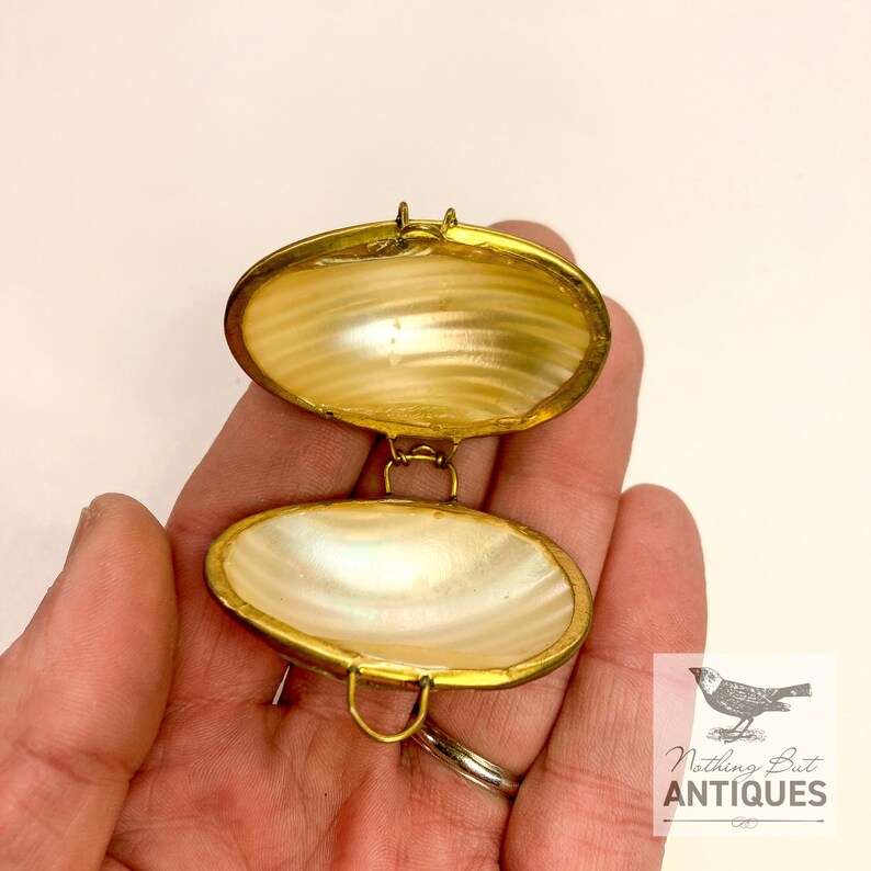 Vintage Sea Shell Coin Purses/Pill Boxes, Victorian Style With Brass Frames, Set of 3, ca. 1960s - 70s. Crafted from three different sea shells in three DIFFERENT SIZES, these LOVELY COIN PURSES or PILL BOXES would make lovely DECORATOR ITEMS in any bedroom or bathroom, especially for a BEACHFRONT PROPERTY. The large shell is 3-1/4 in. from front to back; the medium shell 2-1/4 in., and the small shell is 1-3/4 in. front to back. Price: $75 with FREE SHIPPING.