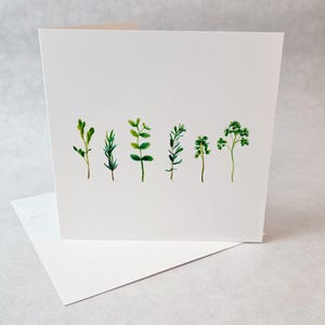 Carte de souhaits fines herbes illustration minimaliste et botanique ambiance cuisine jardin nature pour toute occasion sobre et naturelle
