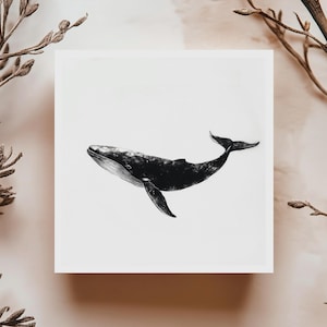 Carte Baleine Noir et Blanc Illustration Minimaliste Carte Animal Marin Art Océan Cadeau Mer