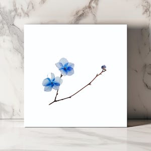 Carte Minimaliste Fleur Bleue Carte Botanique Élégante Carte de Vœux Florale Carte Blanche Carte Florale Unique