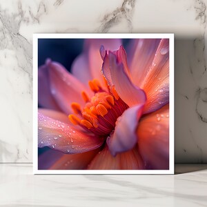 Carte Fleur Orange et Rose, Carte Florale Vibrante, Carte Botanique Gros Plan, Carte Nature Artistique, Carte Élégante Fleur