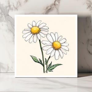 Carte Marguerites, Carte Botanique Vintage, Carte Fleurs Sauvages, Carte Pensée, Carte Anniversaire Nature