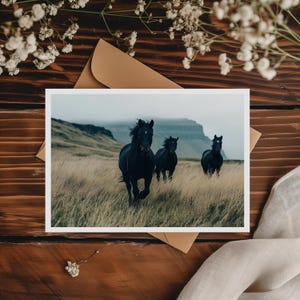 Carte Chevaux Sauvages, Carte Cheval Noir, Carte Paysage Nature, Carte Anniversaire Équestre, Carte Rustique