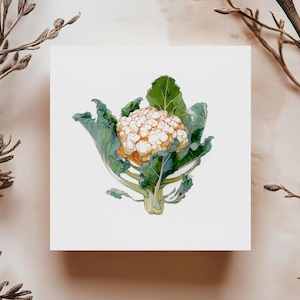 Carte chou fleur illustration minimaliste légume frais sur fond blanc carte artistique originale pour anniversaire ou toute occasion