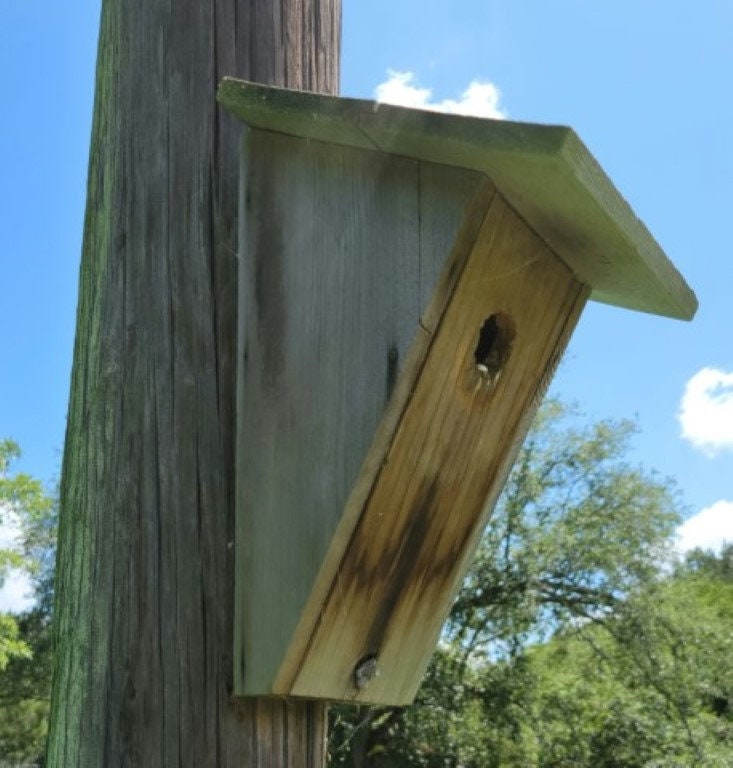 Blue Bird House - Etsy