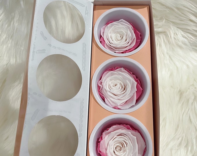 Large Preserved Roses, Infinity Roses Vermeille, Eternal Roses ...