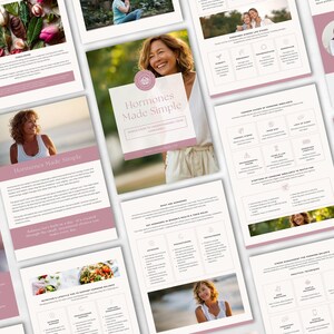 Hormone Health Lead Magnet, Menopause Balance Strategies Guide, Women's Wellness Program Resource, Perimenopause Self Care, Done For You image 5