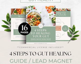 Gut Health Content, Health Coaching Program Template, Nutrition Coach Client Handout, Nutritionist Resource, Done For You Guide, Health book
