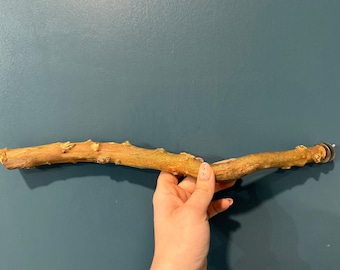 Percha para pájaros de madera natural