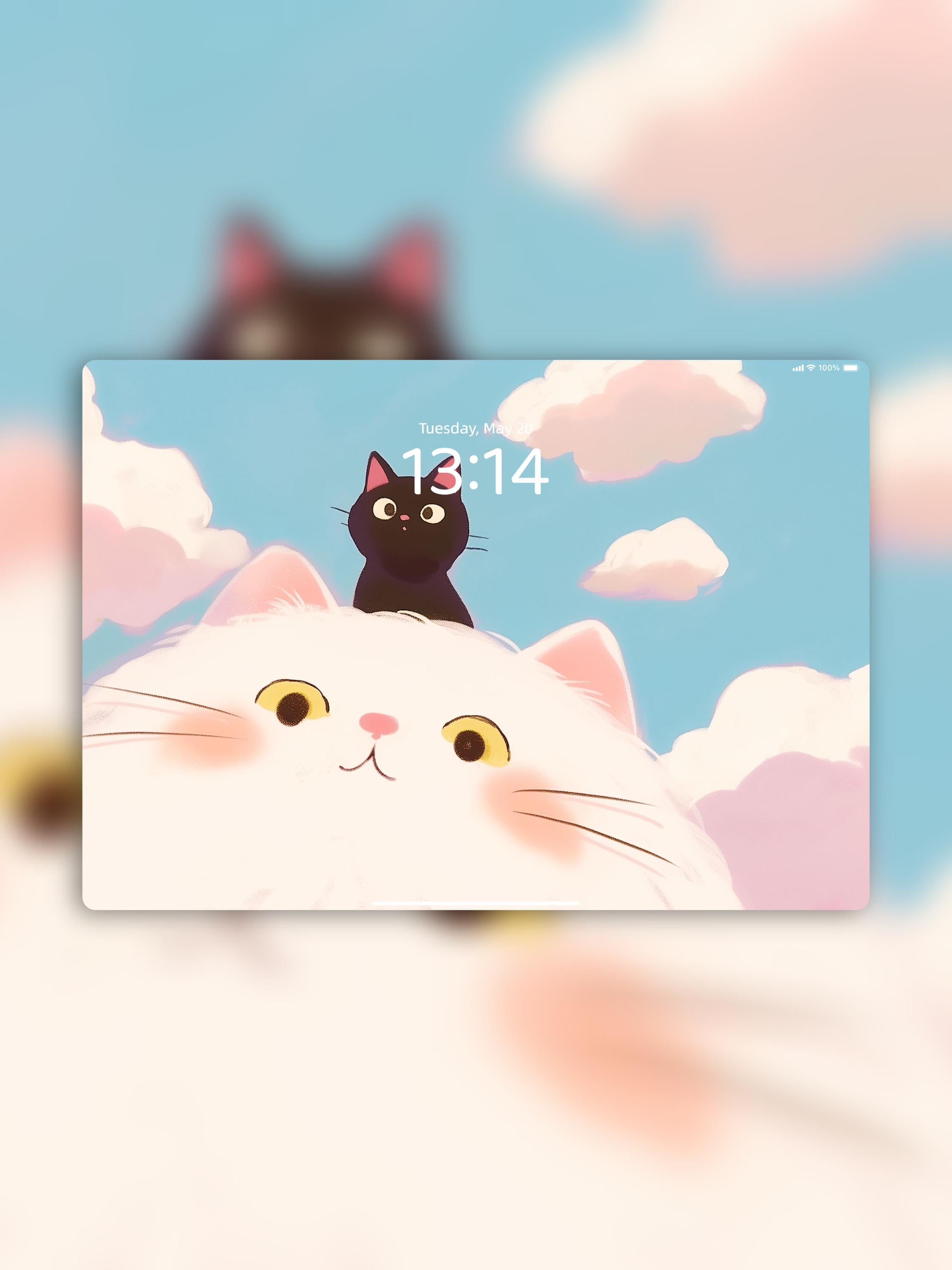 Adorable Black & White Cat iPad Wallpaper Set | Cute Aesthetic Cloud ...