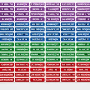 Puede incluir: Una hoja de etiquetas adhesivas rectangulares con varios nombres y posiciones como DEF, MID, FWD y GK. Las etiquetas están organizadas en filas de color morado, azul, verde y rojo, con texto blanco sobre un fondo de color sólido.