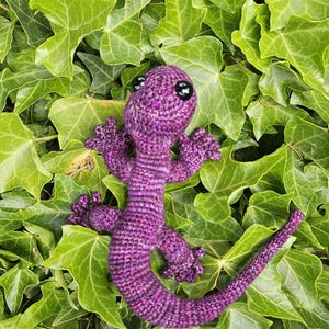 Salamander