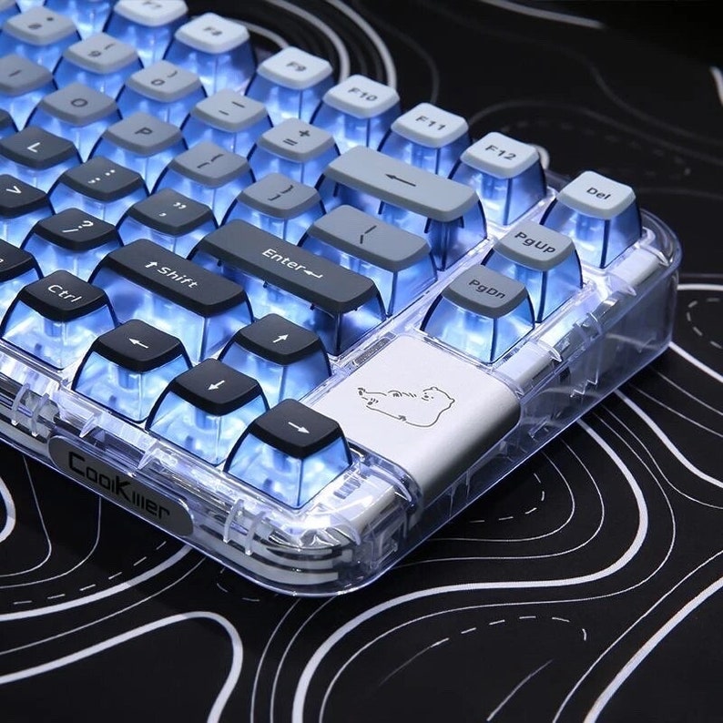 Custom Pudding Backlit Keycaps 126 Pcs for Mechanical Keyboards ASA
