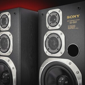 Puede incluir: Dos sistemas de altavoces Sony SS-D501 de 3 v&iacute;as de color negro. Cada altavoz tiene un woofer circular grande, dos altavoces de rango medio m&aacute;s peque&ntilde;os y un tweeter. Los altavoces tienen detalles plateados y el logotipo de Sony en dorado. El texto "3 WAY SPEAKER SYSTEM" es visible.