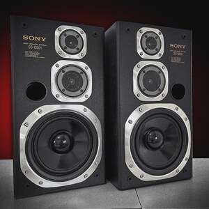 Puede incluir: Dos altavoces negros Sony SS-D501 con detalles plateados. Cada altavoz tiene un woofer circular grande, dos altavoces de rango medio m&aacute;s peque&ntilde;os y un tweeter. El logotipo de Sony y el n&uacute;mero de modelo son visibles.
