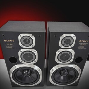 Puede incluir: Par de altavoces negros Sony SS-D501. Cada altavoz tiene forma rectangular con acabado negro y detalles plateados. Los altavoces cuentan con tres componentes de altavoz circulares y un gran altavoz de graves.