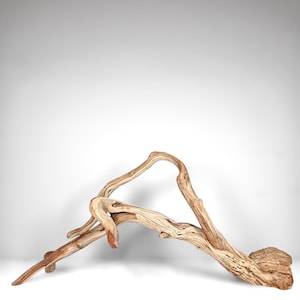 May include: A piece of light brown, weathered driftwood with a gnarled, organic shape. The wood features a smooth, sun-bleached texture with visible grain patterns, knots, and a curved, arching structure that tapers to a point on one side.