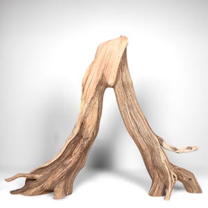 22&quot; Manzanita Driftwood Branch: Reptile Habitat, Aquascaping Decor