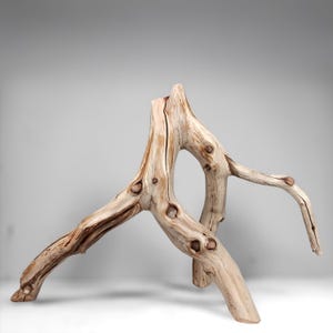 20.25&quot; Manzanita Driftwood Branch: Reptile Habitat, Aquascaping