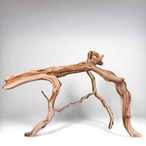 17&quot; Manzanita Driftwood Branch: Reptile Enrichment, Aquascaping