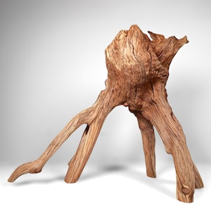 19&quot; Manzanita Driftwood: Reptile Habitat, Aquascaping, Home Decor