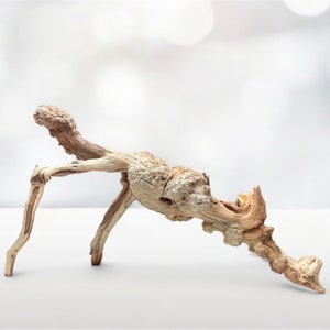 Manzanita Driftwood Branches (27.5&quot;) With Large Burls Ideal for Terrariums, Aquariums & Home Decor. Free Shipping!