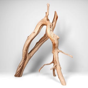 20.75&quot; Manzanita Driftwood Branch: Reptile Habitat, Aquascaping Decor