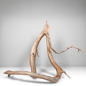 20&quot; Manzanita Driftwood Branch for Aquascaping, Aquarium Driftwood, Fish Tank Décor, Vivariums, Home Décor & More!