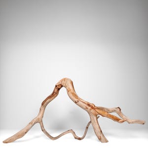 22.75&quot; Manzanita Driftwood Branch for Aquascaping, Aquarium Driftwood, Fish Tank Décor, Vivariums, Home Décor & More!