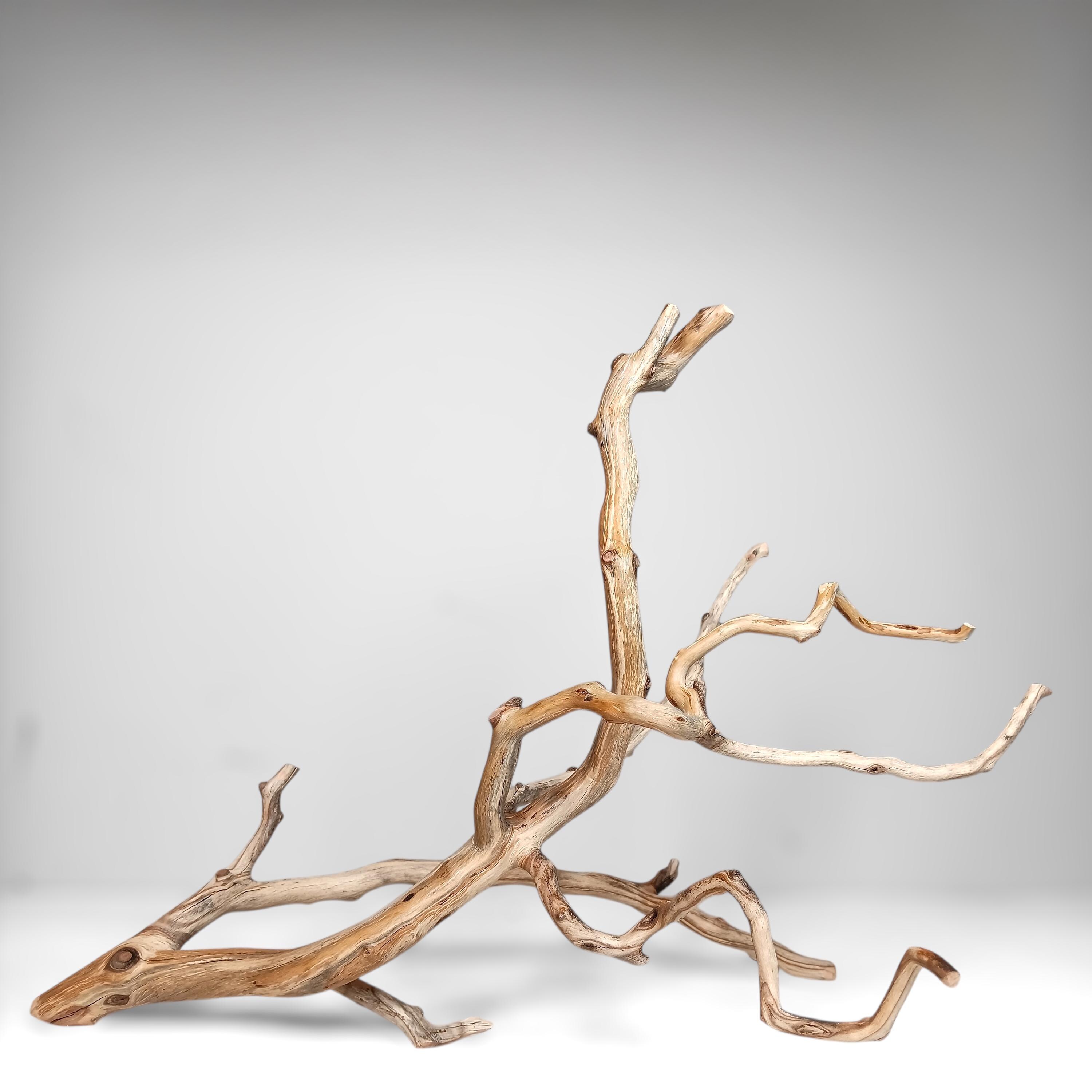 17.25" Manzanita Driftwood Branch for Reptile Enrichment, Aquascaping, Aquarium Driftwood, Fish Tank Décor, Home Décor