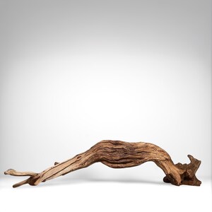 29&quot; Manzanita Driftwood Branch: Reptile Habitat, Aquascaping Decor