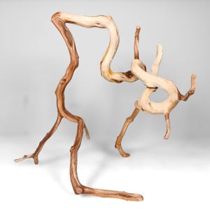 15&quot; Manzanita Driftwood Branch: Reptile Habitat, Aquascaping, Fish Tank Decor