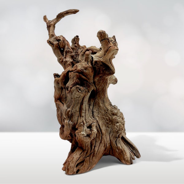 14.5" Tall Manzanita Driftwood "Stump" for Aquascaping, Aquarium Decor, Bonsai, Terrariums, Home Decor