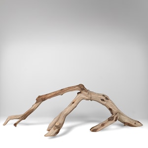 24.5&quot; Manzanita Driftwood Branch: Reptile Enrichment, Aquascaping