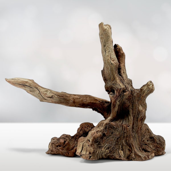 15" Long Manzanita Driftwood: Perfect for Aquascaping, Aquarium Decor, Reptile Enclosures, Vivariums & More!