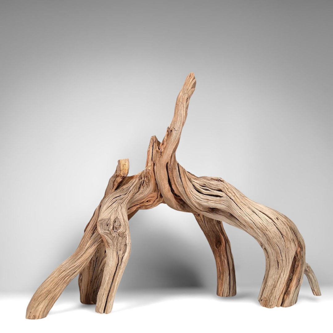 24 Long Manzanita Driftwood Aquarium Stump for Aquascaping, Aquarium ...